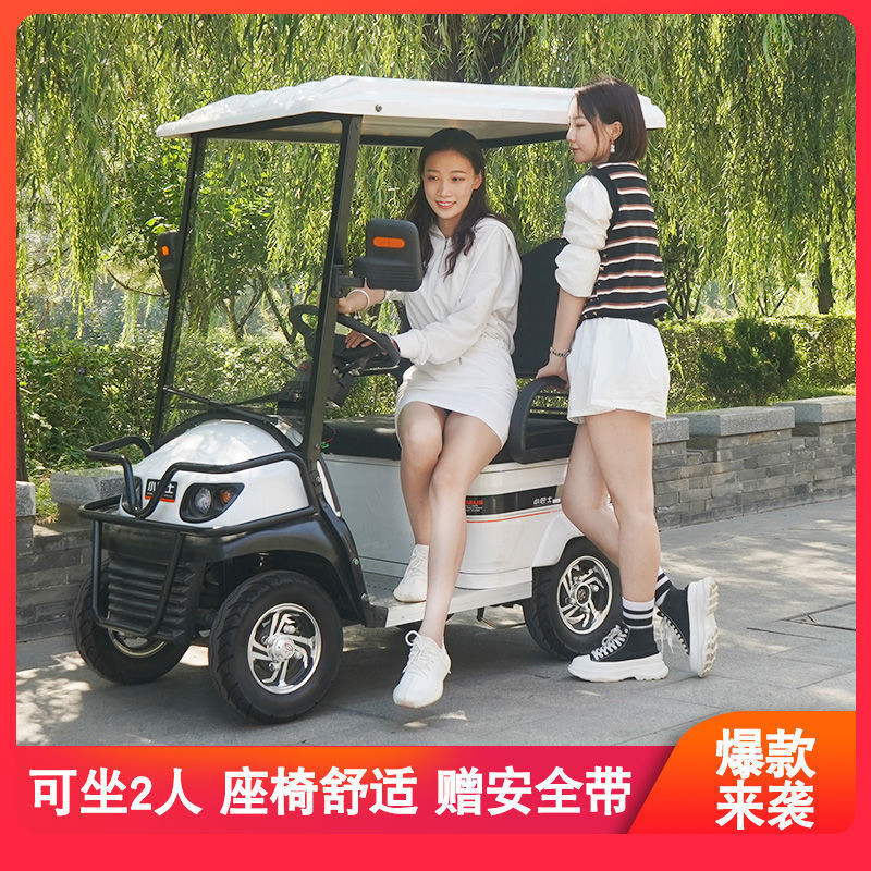 【臺灣專供】小巴士E600高爾夫球車電動四輪車代步車雙人接送孩子上學觀光車