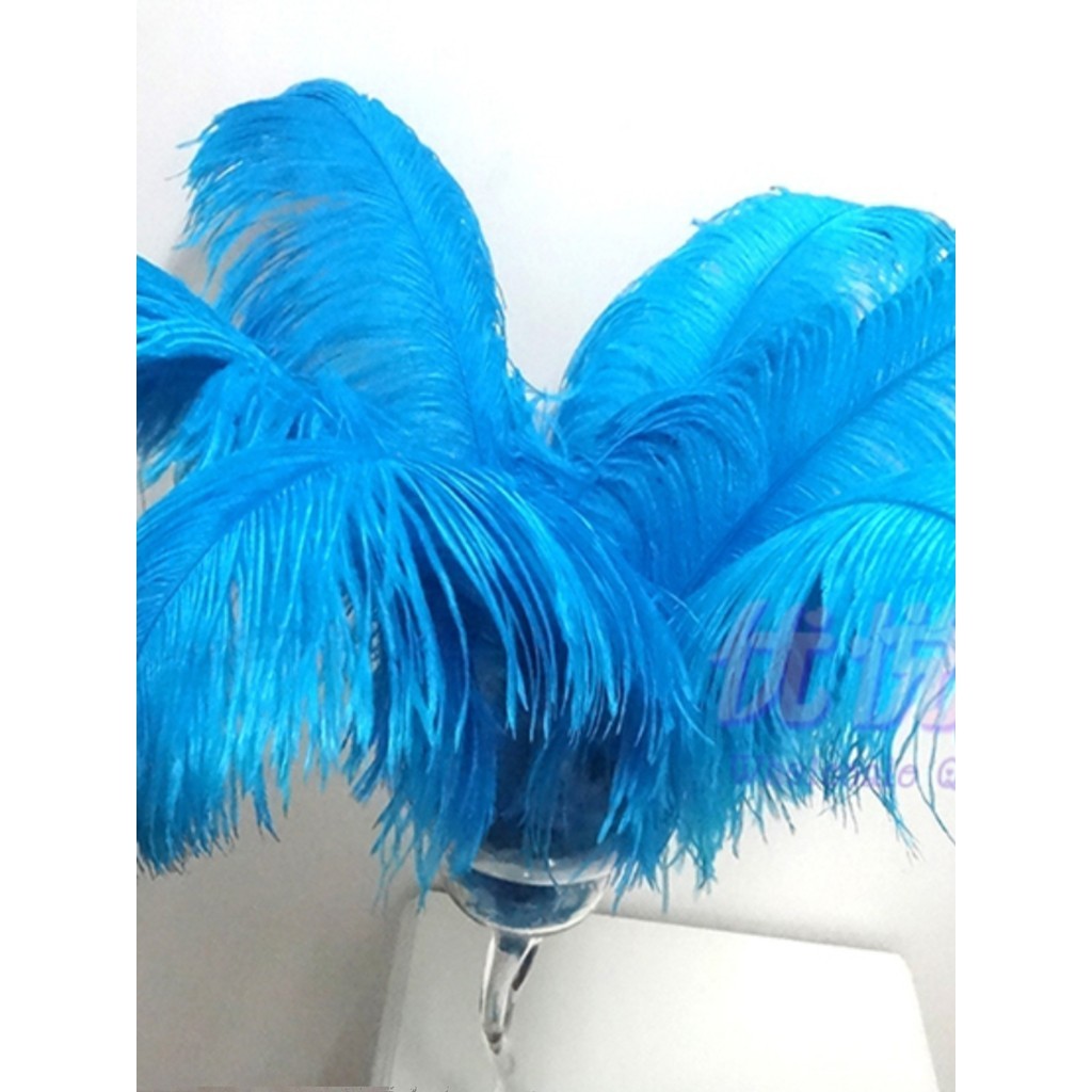 羽毛裝飾 南非進口粗杆鴕鳥羽毛 55-60釐米 白色鴕鳥羽毛婚慶裝飾舞臺道具 DIY羽毛裝飾