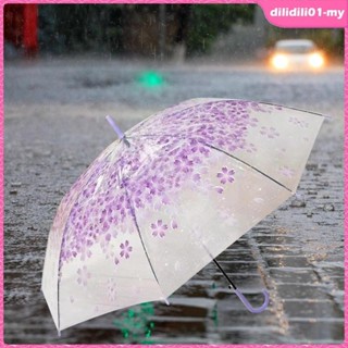 【DilidilidaMY】雨傘透明傘長柄傘櫻花傘透明傘女孩成人