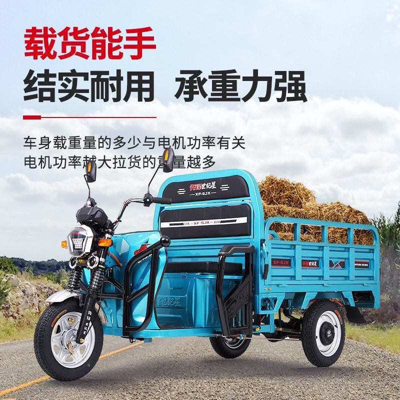 【臺灣專供】先鋒品牌新款電動三輪車拉貨貨車用重王農用電瓶車貨運載貨快遞車