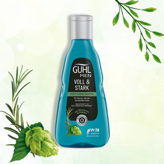 現貨💎德國 GUHL 男士活力洗髮精 250ml 男用 洗髮精 細軟髮 清新 附發票
