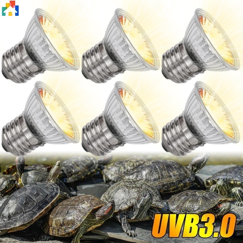 1 件爬行動物燈 25/50/75W UVB 寵物 E27 加熱燈烏龜兩棲動物蜥蜴溫度控制器