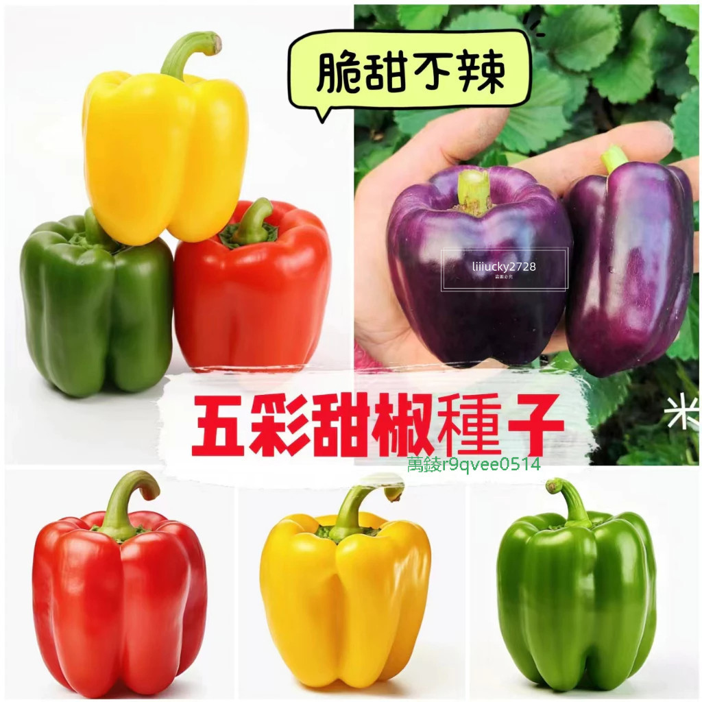 涼拌彩椒的價格推薦 - 2025年6月 | 比價比個夠BigGo