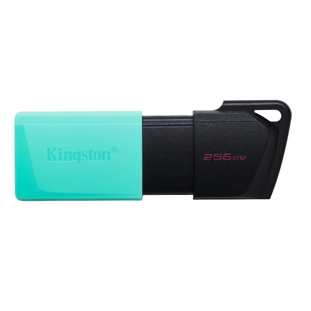 【Kingston 金士頓】DataTraveler Exodia M 256GB USB 隨身碟