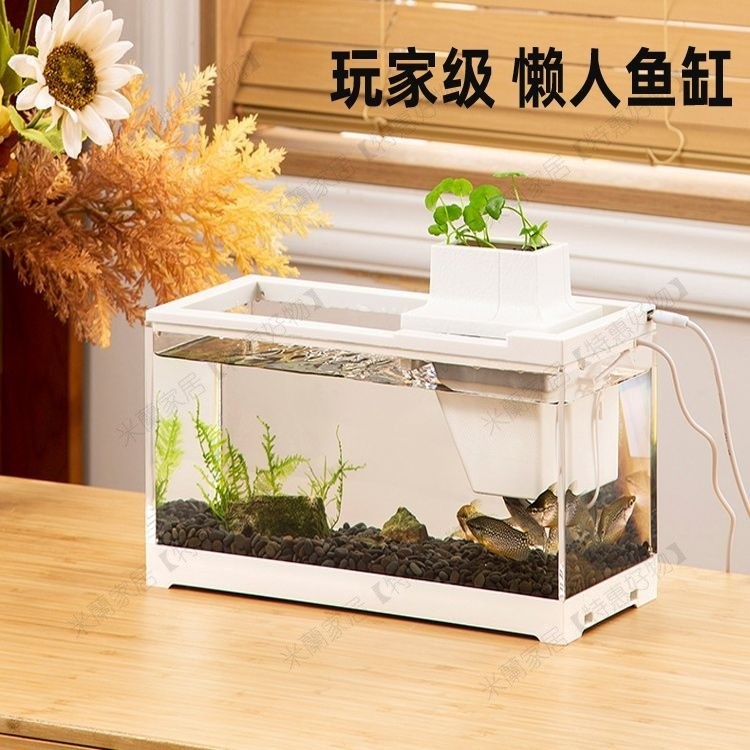 微生態觀景迷你魚缸套組鬥魚魚缸小水族箱造景小魚缸桌面循環魚缸 水族箱