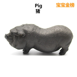 🌈模擬動物家禽模型玩具實心塑膠大肚黑豬兒童玩具益智科教玩具