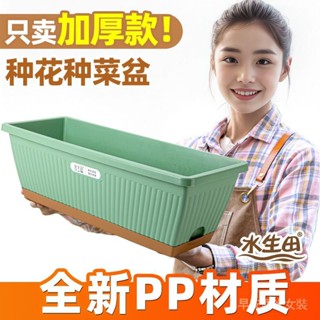 免運 高顏值長條花盆室內陽臺種花種菜專用盆戶外花箱加厚霍倫盆特大號 育苗器 種菜神器 種植器 種菜機 種植箱 種菜 盆栽