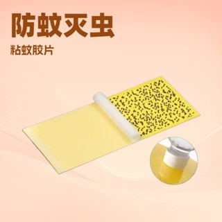現貨#滅蠅紙滅蠅燈專用粘紙粘捕式貼紙粘蠅紙商用滅蚊燈粘紙滅蚊貼粘紙ky