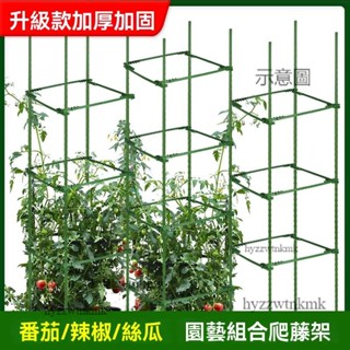 附發票🌸爬藤支架 玫瑰 園藝爬藤架 花架 月季花架 爬藤架 花盆支架 托架 庭院植物包塑鋼管厚葡萄架 爬藤架 子花支架