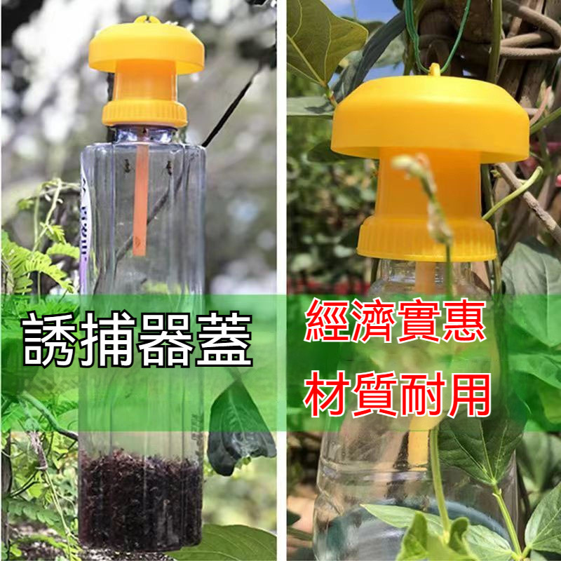 買5送1蓋頭 無毒 送綁帶 重複使用 果蠅誘捕器 果蠅誘捕器蓋頭 果蠅 除果蠅 果蠅神器 防果蠅 黏果蠅 果蠅誘捕 果蠅