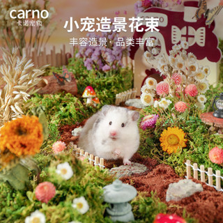 卡諾寵物倉鼠籠裝飾物自然風干花草金絲熊零食夏季除臭造景用品