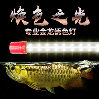 金龍燈RGB龍魚燈專用魚缸燈LED防水金龍增色三基色黃金錦鯉燈