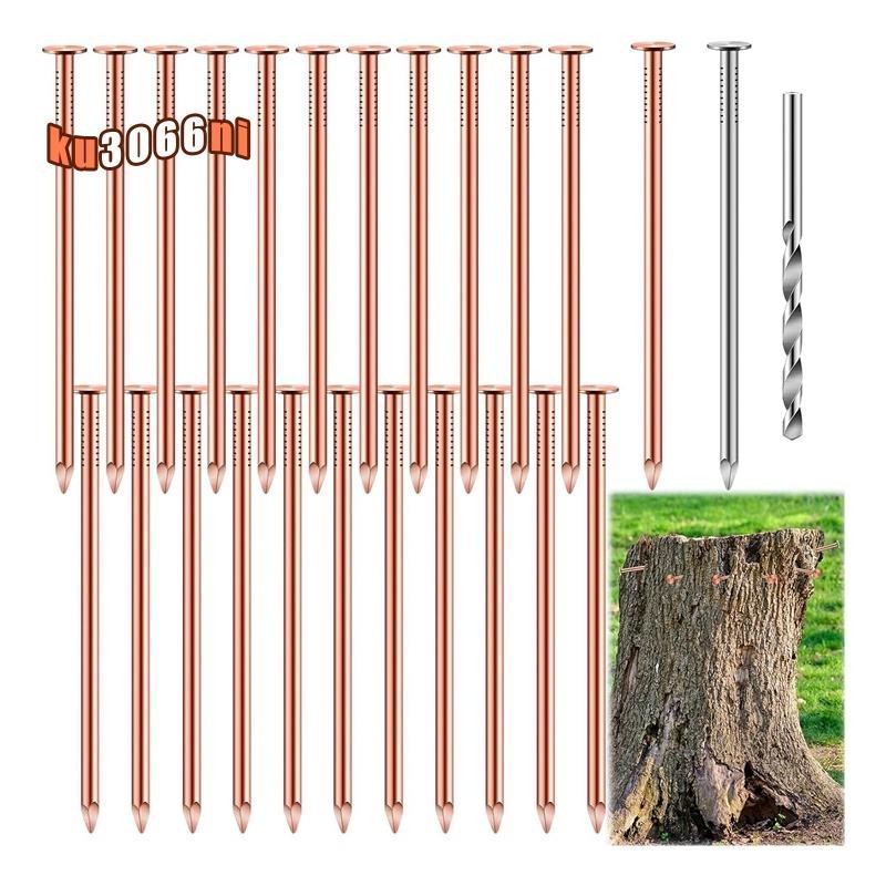 3.5 英寸純銅釘散裝樹樁去除釘五金釘用於樹木 25 件