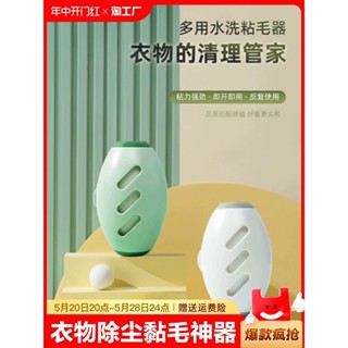 橢圓形黏毛器 滾筒黏毛器 寵物黏毛器 地板黏毛器 可水洗永久黏毛 質感黏毛滾輪 黏毛滾筒 洗衣服黏毛神器