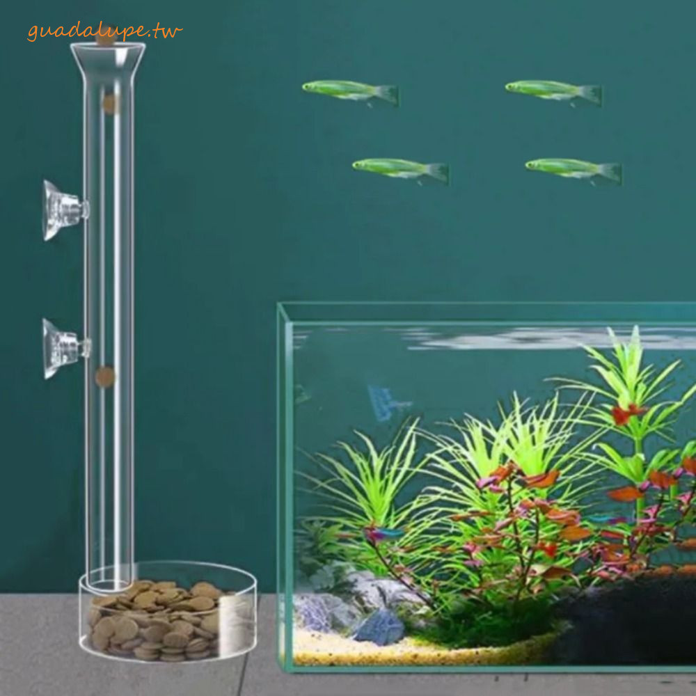 GUADALUPE魚缸蝦餵食器,玻璃餵魚管玻璃水族箱餵食器管碟,20-45厘米透明帶吸盤蝦飼管