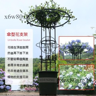 免運含稅😊園藝傘形花架 爬藤架 月季鐵線蓮攀藤蘑菇薔薇花架 綠植支架桿戶外