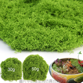 30/50g 綠色人造苔蘚 - DIY 工藝品裝飾 - 用於景觀盆栽花園 - 模擬永生苔蘚草坪 - 天然假植物草 - 可