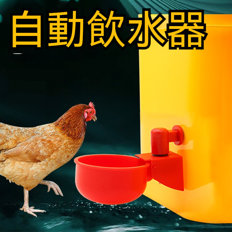 【琳琳批發】水碗鳥飲水器 餵鴿子  單水杯碗口設計 養殖場 家禽飲水器雞用飲水槽 自動水碗  寵物自動飲水碗家禽飲水碗