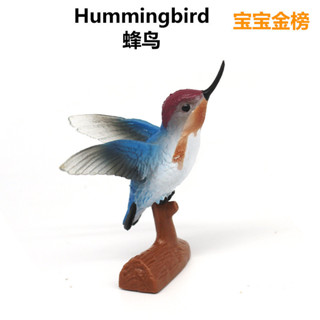 🌈模擬動物鳥類飛禽野生動物模型蜂鳥小鳥模型玩具盆栽裝飾擺件