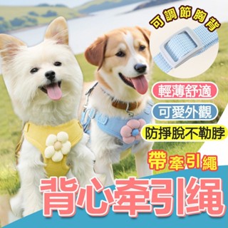 ❤️臺灣現貨❤️狗狗牽引繩 貓咪外出防掙脫胸背 寵物卡通立體配件 狗繩 寵物胸背帶 貓狗專用牽引繩 胸背衣