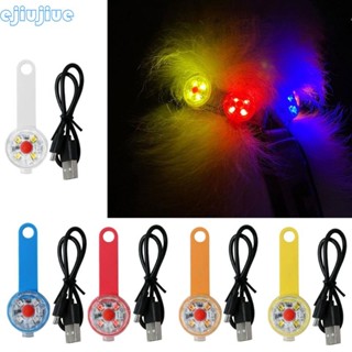 Ao USB 可充電狗燈戶外活動夜間行走寵物 Led 項圈吊燈防水狗燈