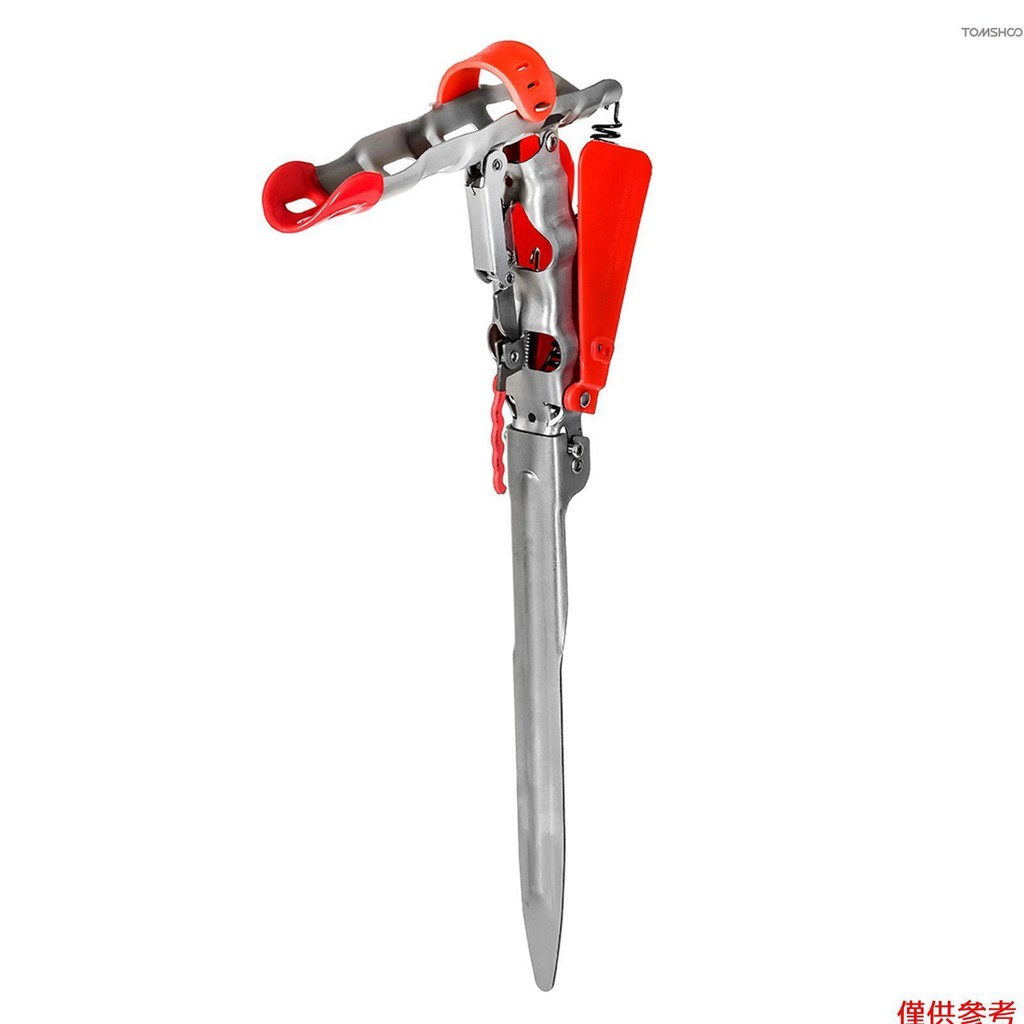 自動釣魚的價格推薦- 2026年1月| 比價比個夠BigGo