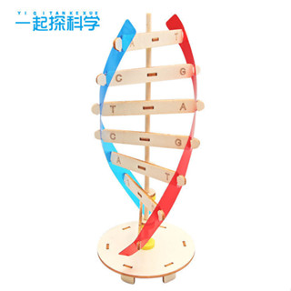 STEAM教育 科學小實驗 DIY DNA雙螺旋結構模型科技小製作手工人體基因生物器材料