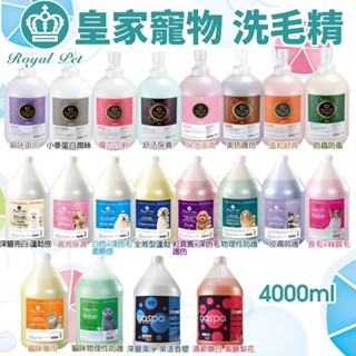 Royal Pet 皇家寵物 皇家寶石 犬貓洗毛精4L GOSPA 洗澡趣 貓洗毛精 犬洗毛精 寵物洗毛精『WANG』