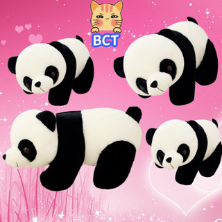 Bct ✨有貨✨熊貓毛絨玩具可愛寶寶大熊貓寶寶毛絨填充動物公仔動物玩具抱枕卡通卡哇伊娃娃女孩生日禮物臥室裝飾