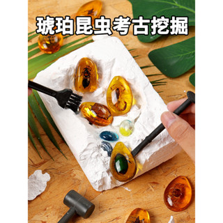 【臺灣出貨🚚】考古挖掘✅化石考古玩具🔥diy手工 挖寶石 琥珀 挖寶藏化 昆蟲 標本 盲盒 恐龍化石 挖寶藏 火山尋寶