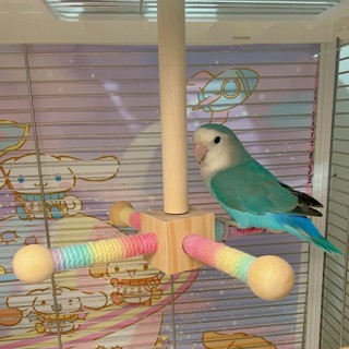 24h現貨秒發💕鸚鵡旋轉風車解悶鳥籠玄鳳牡丹虎皮啃咬磨牙空中玩具鳥籠裝飾用品
