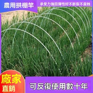 免運含稅🚛全網最低👍拱棚支架 菜棚花棚保溫育苗棚防曬網支架 二棚支架 玻璃縴維彈力棒 支架 園藝花架