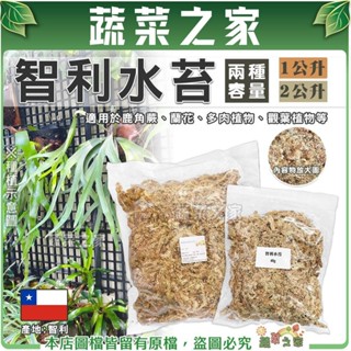 【蔬菜之家滿額免運】智利水苔(1公升、2公升包裝) 5A水苔 精緻過篩 鹿角蕨 觀葉植物 水草 蘭花介質 苔球植物 角蛙