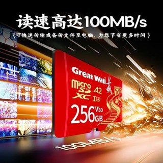 塗塗生活大賣場、、、、長城高速內存卡256g記錄儀128g監控攝像頭4K無人機相機TF存儲卡