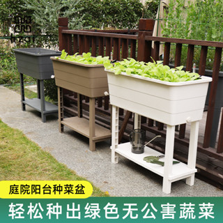 【🚛宅配免運🚛】陽臺種植箱 新款 種植盆高腳長方形花盆 種植箱 飼養箱 蔬菜種植箱 特大種菜箱 長方形花盆
