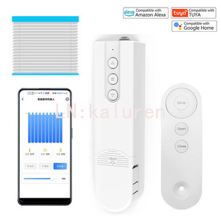 【老煙酒】Tuya WF拉繩電動窗簾電機 塗鴉APP遠端開關控制拉珠卷簾