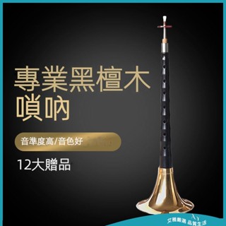【免運 附發票】嗩吶 專業烏木嗩吶樂器 初學者入門 成人D調嗩吶 紅木黑檀木 全套初學 中號吹奏喇叭 新手嗩吶 精品樂器