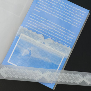 【湘湘小舖❤️】人生磁帶｜蕾絲絲帶 LaceRibbon 硫酸紙膠帶 白墨Lifetape現貨