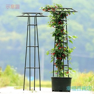 附發票~ 園藝爬藤架 花架 新款傘型花架爬藤架 戶外花卉攀爬架 花支架 月季鐵線蓮14mm管徑