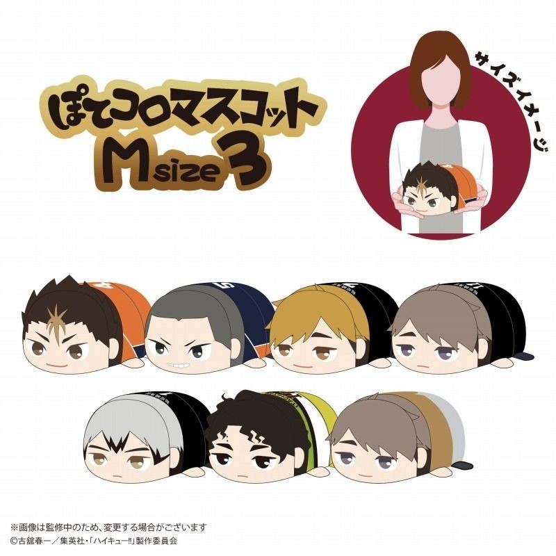 排球少年＿趴娃 Msize 北信介 西谷夕 趴趴 娃娃 玩偶