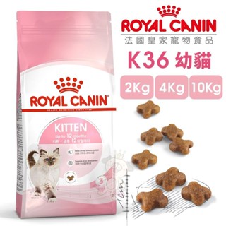 Royal Canin 法國皇家 K36 幼貓專用乾糧【免運】全規格 2KG 4KG 10KG 幼貓『WANG』