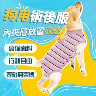 ✈臺灣現貨✈寵物絕育服 手術衣術後衣 防舔衣 術後康復服 狗狗衣服🌈康復斷奶護理 生理服 預防皮膚感染 傷口防舔