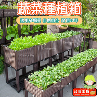 🥑臺灣12H出貨🥑種植箱 飼養箱蔬菜種植箱 特大種菜箱 長方形花盆 組閤式種植盆 陽臺種菜盆 陽臺樓頂種菜神器DIY高度