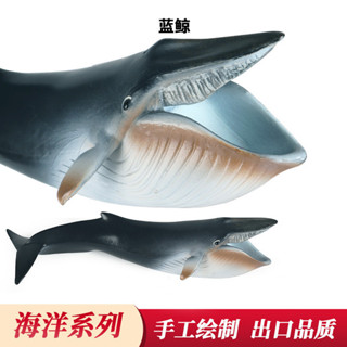 ★限時熱銷★兒童認知靜態實心塑膠玩具新款藍鯨鯊魚模擬海洋動物鯨魚模型