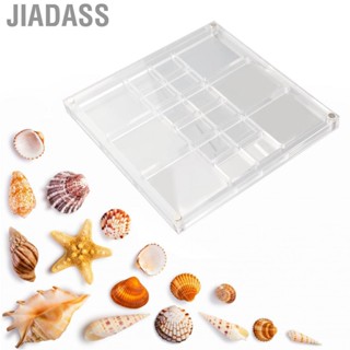 Jiadass 磁性貝殼收納盒安全閉合高透明多網格展示櫃供收藏