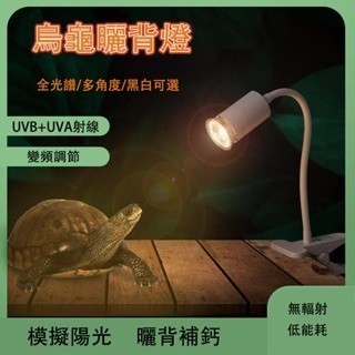 免運下殺 110V烏龜保暖曬背燈 烏龜燈 爬蟲曬背燈 烏龜曬背燈 龜用保暖燈 爬蟲保暖燈 保暖夾燈