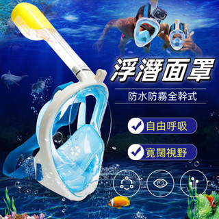全罩式浮潛面罩 浮潛面罩 潛水裝備 浮潛面罩 潛水面罩 浮潛裝備 玩水浮潛潛水 潛水蛙鏡潛水泳鏡 浮潛全面罩 浮潛面鏡