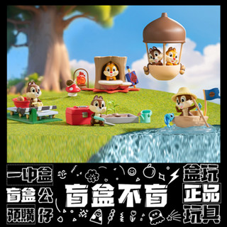 【盲抽不盲】Disney 迪士尼 奇奇蒂蒂 日常 系列 盲抽 玩具 收藏 禮物 保衛堅果 小小農田 公仔 盒玩 泡泡瑪特