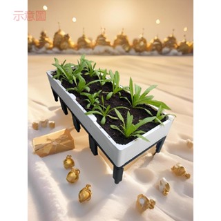 含發票 種植箱 架高種菜專用箱 陽臺種菜盆 蔬菜種植箱 屋頂菜園種菜神器家庭樓頂
