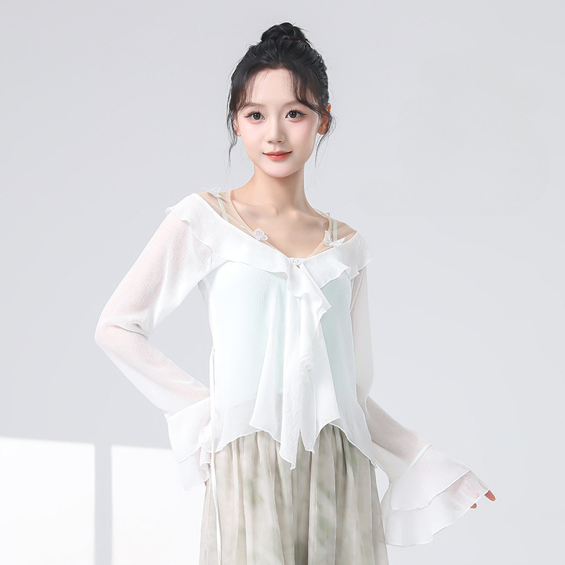 現代舞服女夏季新款蝴蝶網紗連衣裙長袖古典舞訓練服演出服上衣